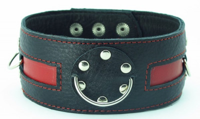 Кожаный ошейник с красной полосой и кольцами, цвет: черный