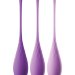 Набор из 3 фиолетовых шариков Кегеля Pipedream Train-Her Set