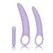 Набор силиконовых расширителей Dr. Laura Berman Isabelle Set of 2 Vibrating Silicone Dilators